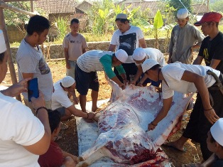 Kurban dan Aqiqah Pondok Tasbih Pondok Pesantren Thoriqoh Ikhwanul Qalam